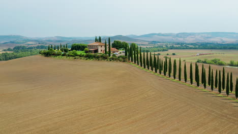 idyllic house in the hills of tuscany with driveway lined with cypress trees