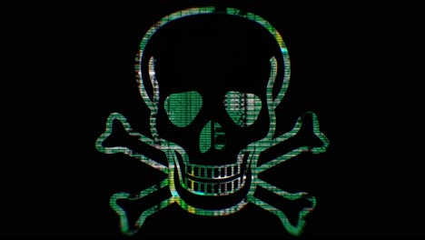 cráneo de código de computadora en negro
