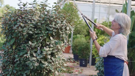 woman trimming bush in garden