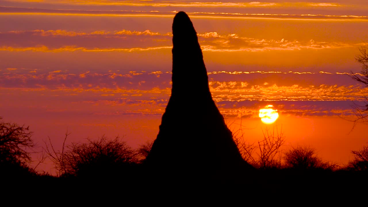 una hermosa puesta de sol o amanecer detrás de un gigantesco montículo de termitas define una clásica escena de safari africano en namibia 2