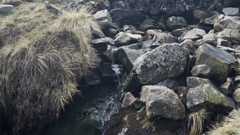 Peaceful-river-running-in-a-winter-day-with-some-wind-in-Mountains