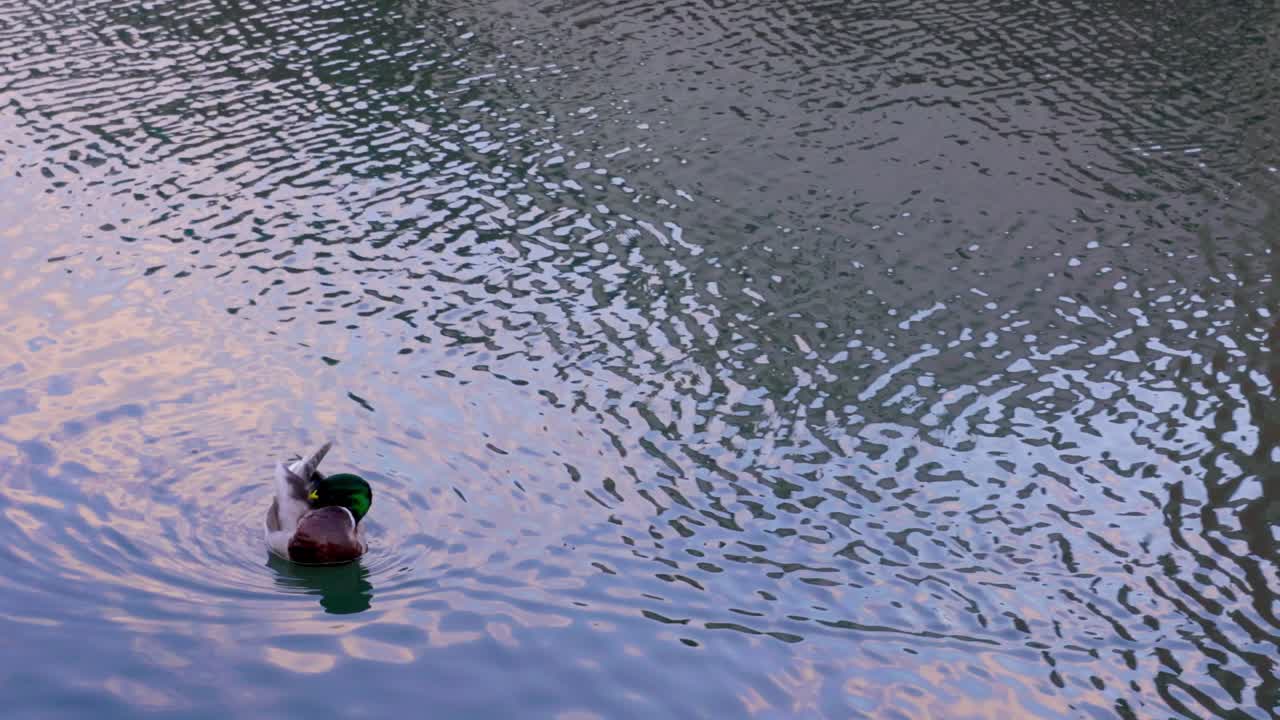 오타루 최고의 뷰