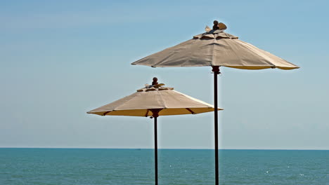 umbrella around outdoor pool nearly sea ocean