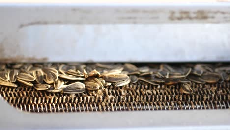 sunflower seed processing machine