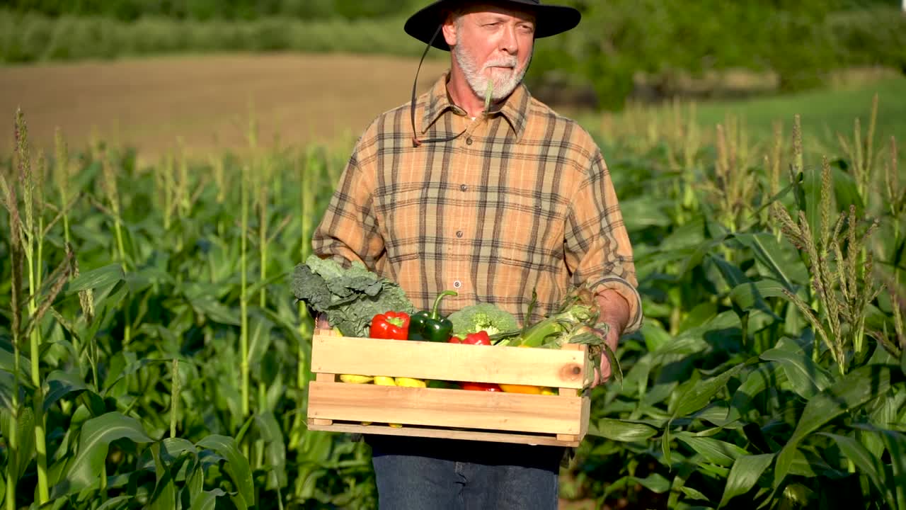 primer plano agricultor llevando una caja de verduras orgánicas mira la cámara a la luz del sol agricultura granja campo cosecha jardín nutrición orgánico fresco retrato al aire libre cámara lenta