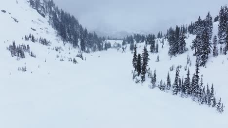 an slow aerial view of an snow covered forest during a snowstorm