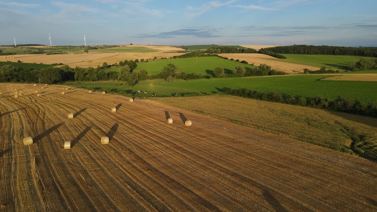 Aerial View of Hay Bales in a Serene Farmland