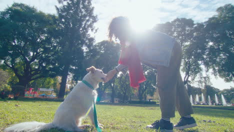 dog giving paw, getting treat and playing fetch in the park