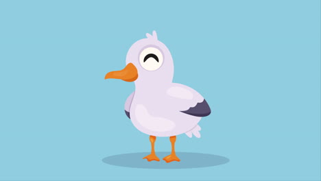 little and cute seagull animation