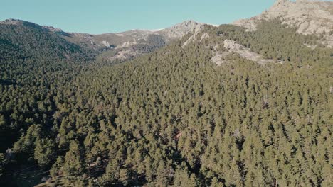 Luftaufnahme-Des-Waldes-In-Der-Sierra-De-Madrid-An-Einem-Klaren-Tag