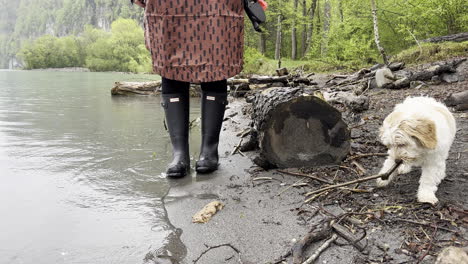 persona junto al lago en la lluvia con el perro atado al cuello jugando con el palo