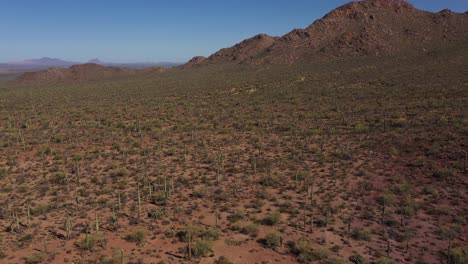 aerial over cactus desert near saguaro national park arizona