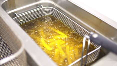 slow-rotating shot of golden-colored fries cooking in a fryer