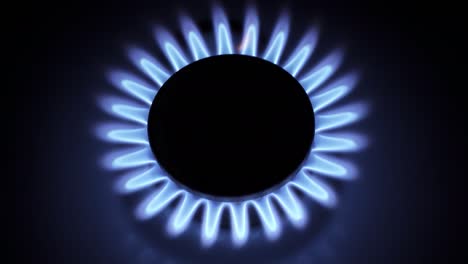 horno de estufa de gas ardiente, llamas azules macro primer plano en la oscuridad sobre un fondo negro. video en bruto 4k con movimiento suave de la cámara.