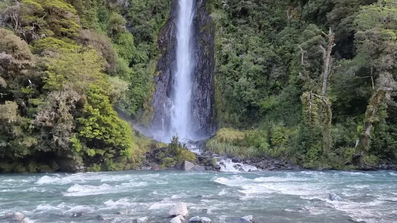 Large waterfall flowing with a glacial river in front surrounded by lush green rainforest in the west coast of New Zealand