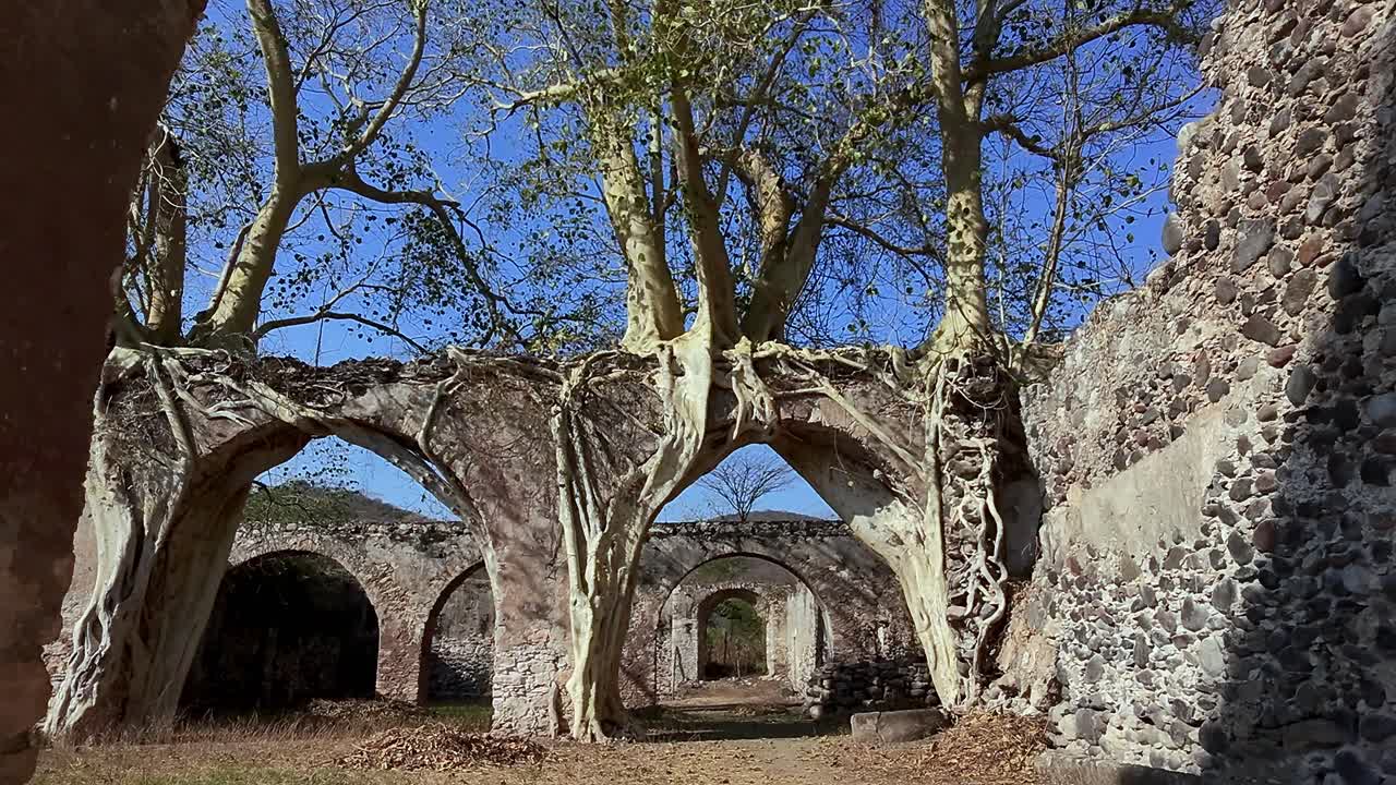 Track under arched stone ruins with trees growing through at Ex Hacienda San Jacinto Ixtoluca, Morelos. Large tree roots immersed in stone ruins and blue sky above