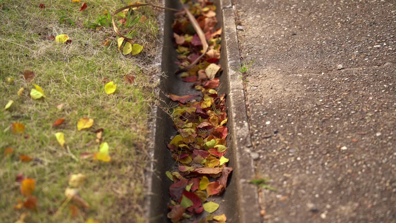 The Autumn Leaves in the Gutter at the Local Parks of Japan