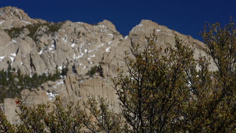 Arbustos-Con-Montañas-Rocosas-De-Nieve-En-El-Fondo