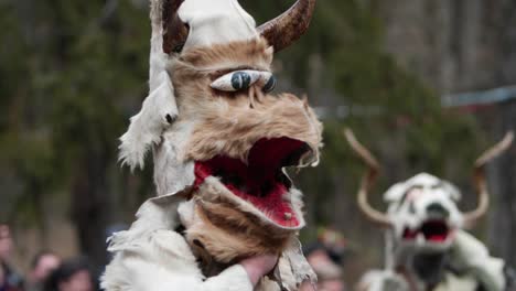 funny and somewhat scary masks with horns of bulgarian kukeri