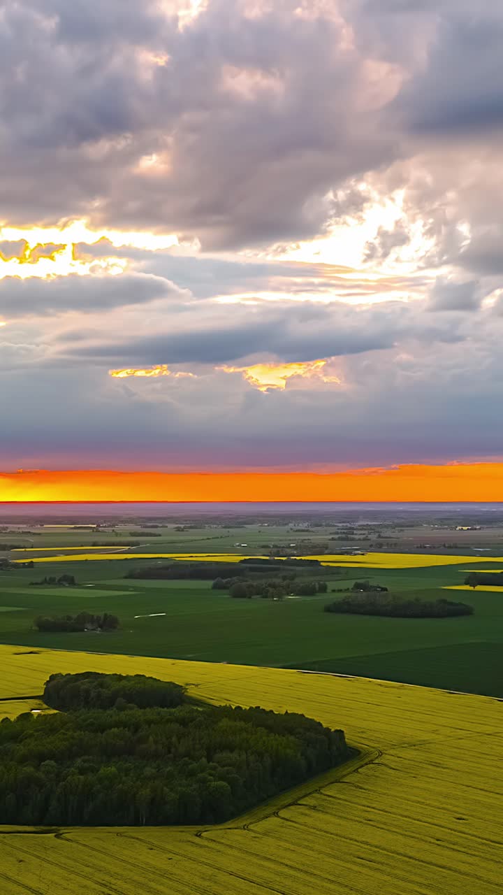 Golden hour sunset timelapse of vibrant green fields and yellow canola crops