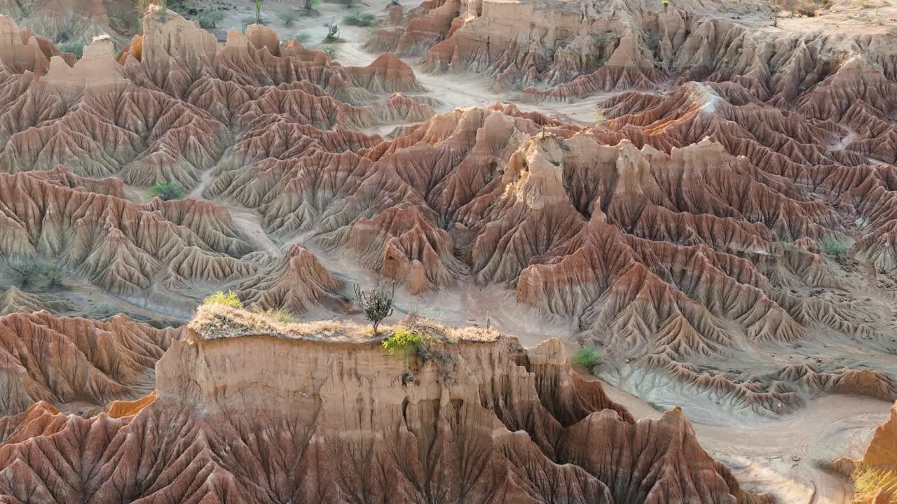 콜롬비아의 타타코아 사막의 눈부신 침식 풍경
