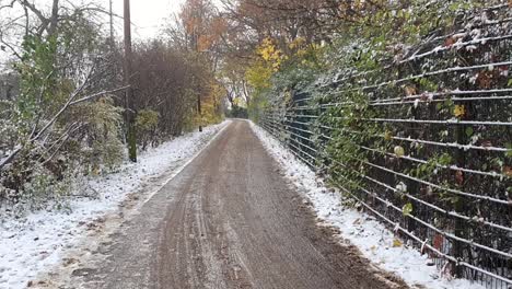 Pan-up-on-a-path-Berlin-in-wintertime-in-the-Park-Hasseneinde-covered-with-snow-HD-30-FPS-7-secs