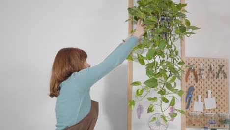 woman pruning a hanging plant