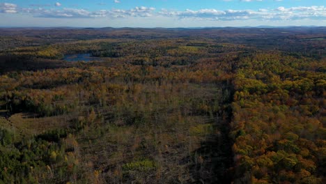 Aerial-SLIDE-to-the-left-past-a-newly-logged-late-autumn-forest