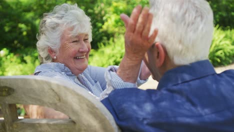 gelukkig senior blank koppel in de tuin