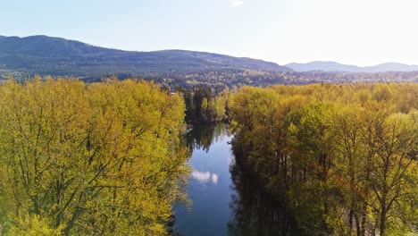 Scenic-aerial-descending-shot-view-of-Snoqualmie-Middle-Fork-River-in-North-Bend,-Washington-State