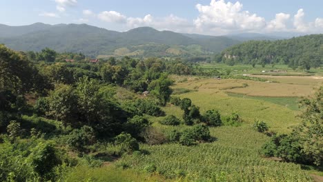 doi inthanon park - majestic valley