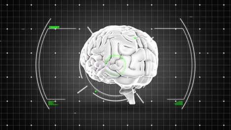 Animación-Del-Cerebro-Humano-Y-Procesamiento-De-Datos-Sobre-Red