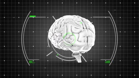 animación del cerebro humano y procesamiento de datos sobre la red.