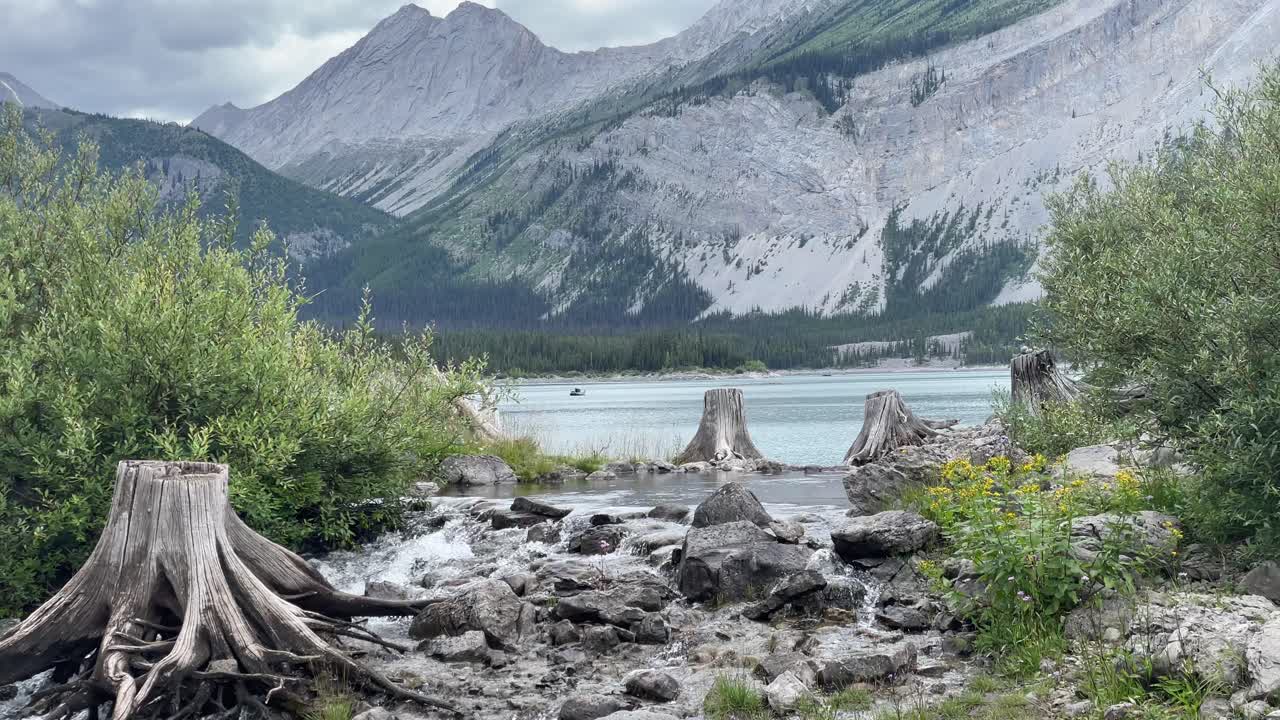A creek in the mountains, by a lake with dried stumps