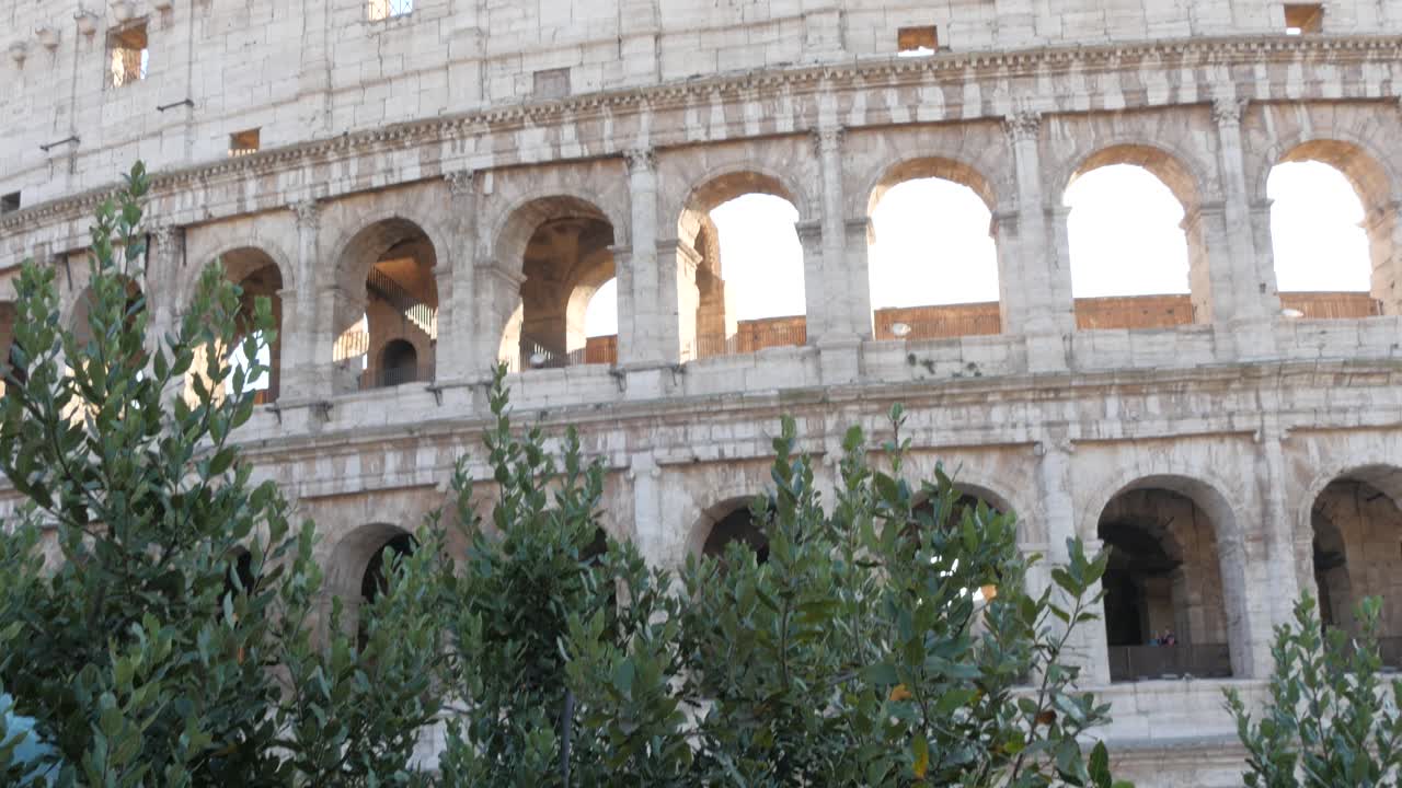 Rome, Italy Colosseum Reveal from a Tree Branch.