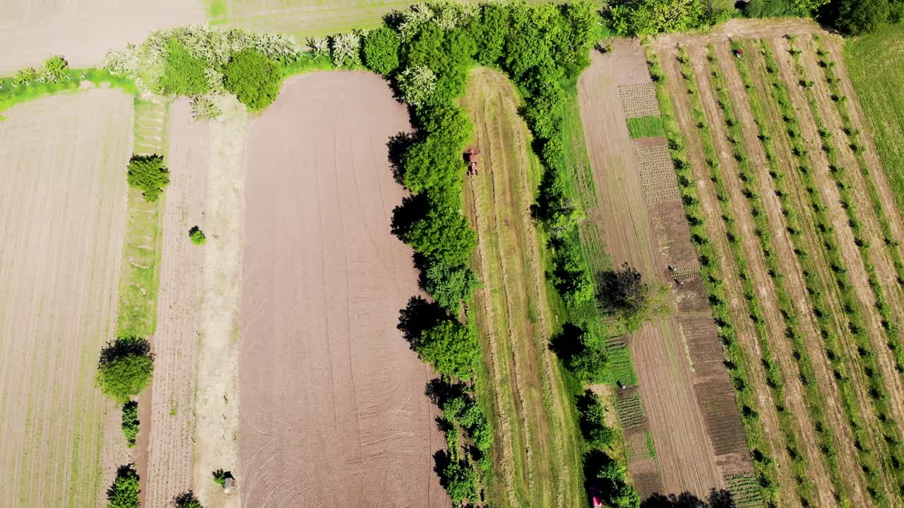Drone shot about a man, who cut the vegetation between trees