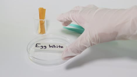 litmus paper tests egg white ph