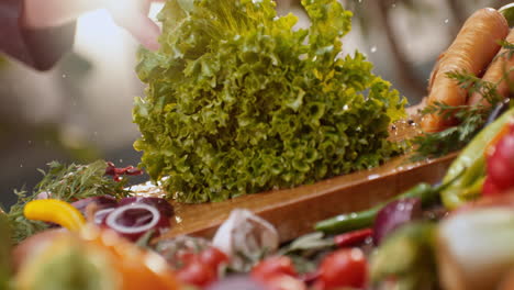 washing and preparing fresh salad and vegetables