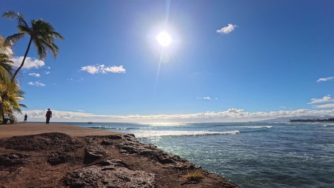 Beleza Costeira de Honolulu, Havaí, com Palmeiras e Vistas para o Oceano