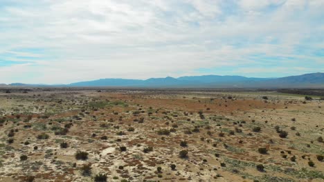 Swooping-drone-shot-flying-down-to-showcase-the-desert-flowers-and-succulents-with-the-mountains-in-the-background