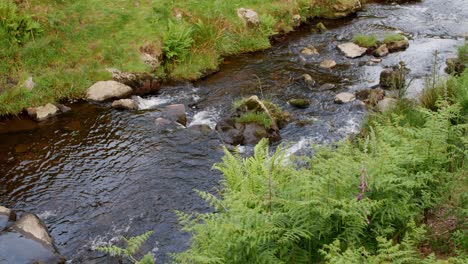 scenic views of a river with small waterfalls, at three roaches head in the peak district, uk