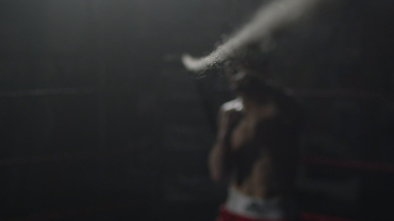 Boxing Training Session