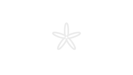 ilustración de video para la pantalla de arranque. ilusteración de video en 4k.