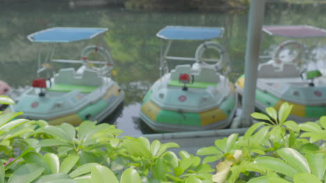 close-up of lush green plants zooms out to reveal emerald lake with colorful children's boats ahead.