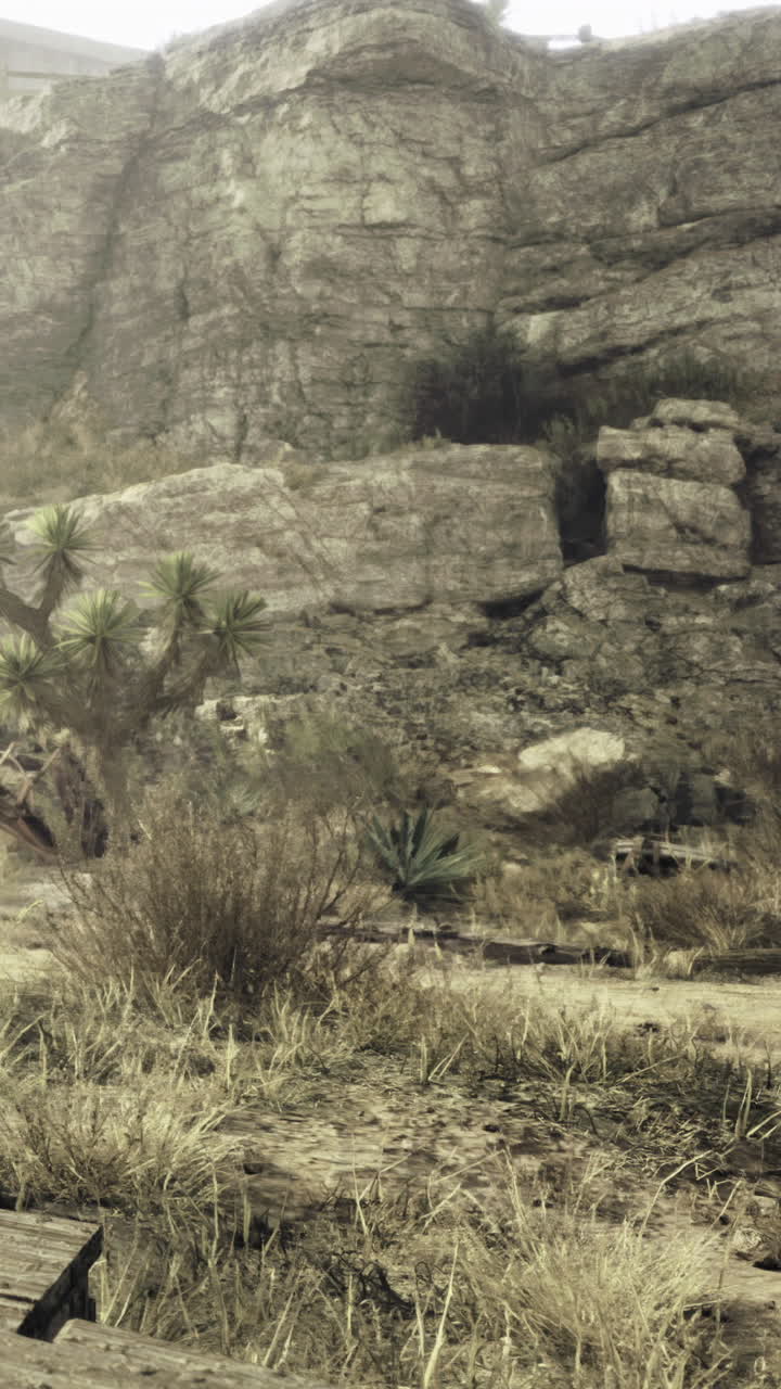 Rock formation in a dry landscape with sparse vegetation in the afternoon