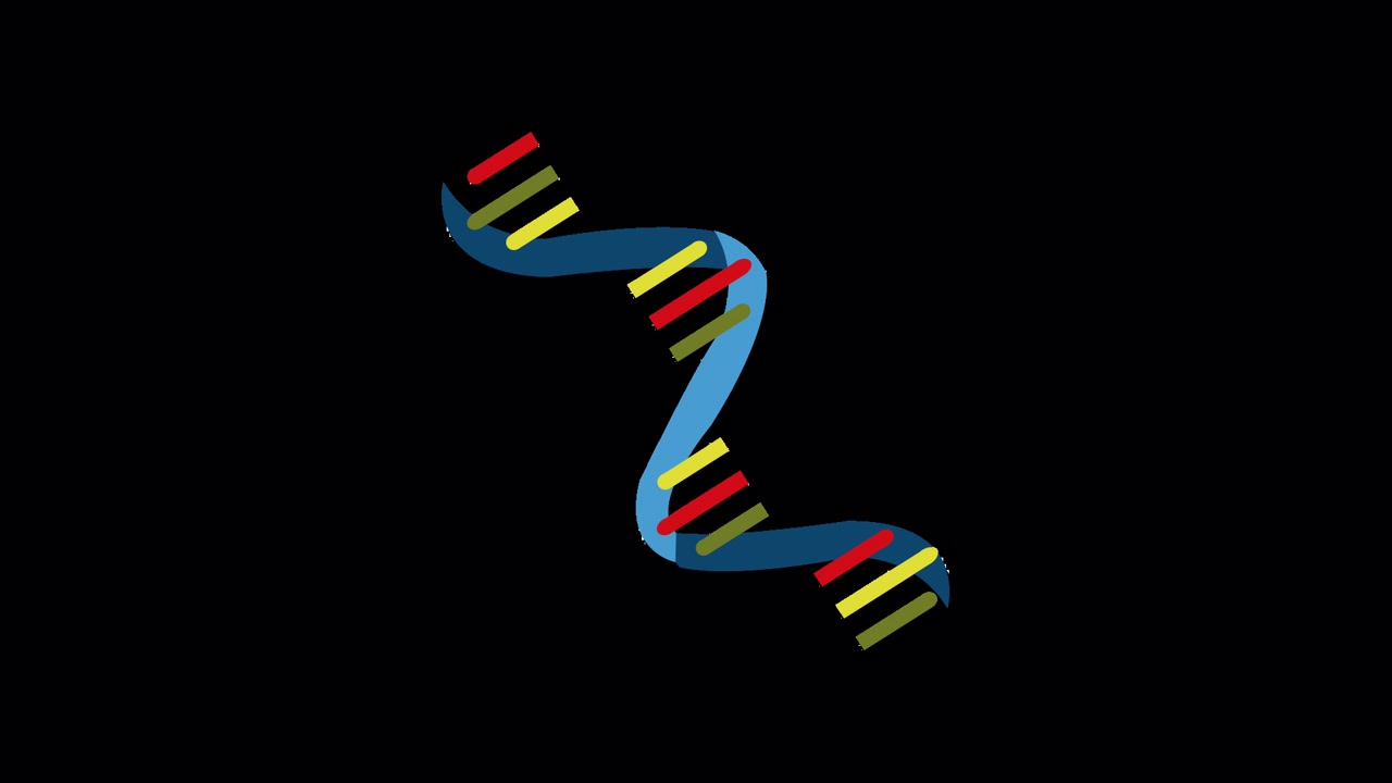 Animeret DNA-helix, der dannes på sort baggrund