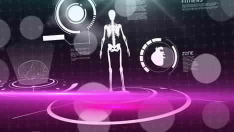 animation of data processing and human skeleton over scope scanning