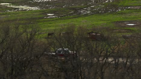 Drohnenaufnahme-Eines-Lastwagens,-Der-In-Zeitlupe-An-Rindern-Und-Einem-Wald-Im-Schlammigen-Land-Vorbeifährt