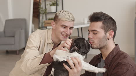 couple petting and kissing french bulldog