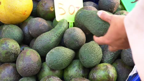 person shopping for avocados at a farmers market